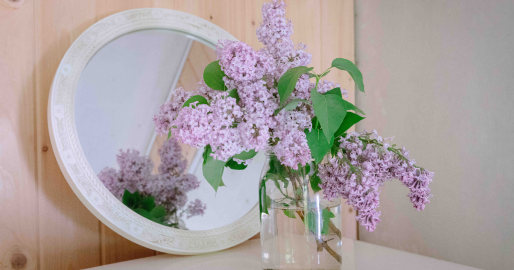 First Small House Interior Design Tip: Reflections