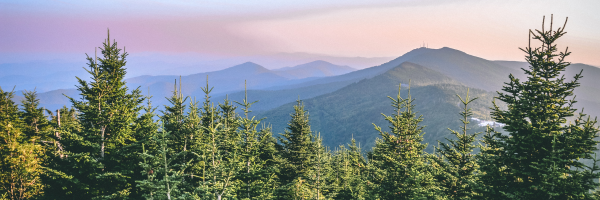 Panoramic view of a mountain range at sunset with trees in the foreground and layered hills fading into the distance under a soft purple sky.