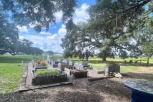 community garden at lakeshore by simple life in central florida