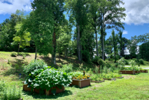 NC Community Gardens