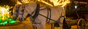 Christmas in Hendersonville offers a classic holiday experience.