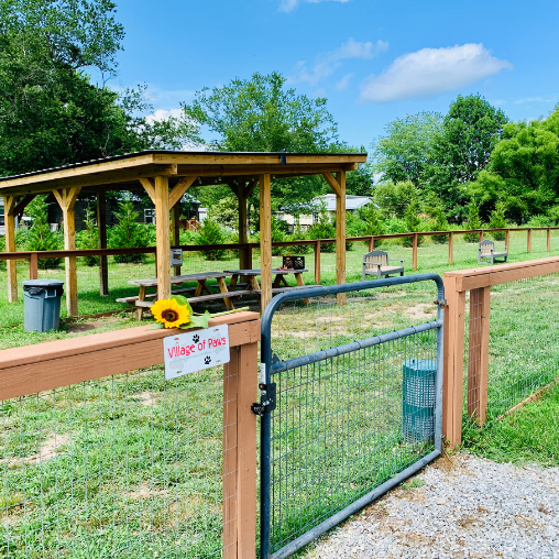 Dog Park in North Carolina community