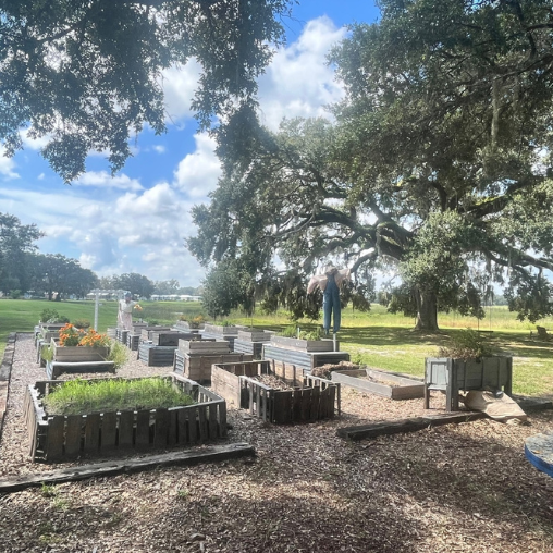 Lakeshore community garden