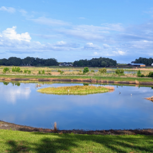 Lake Andrew