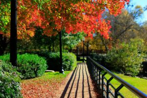 Walking trails Greenville SC