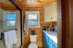 bathroom with walkin shower