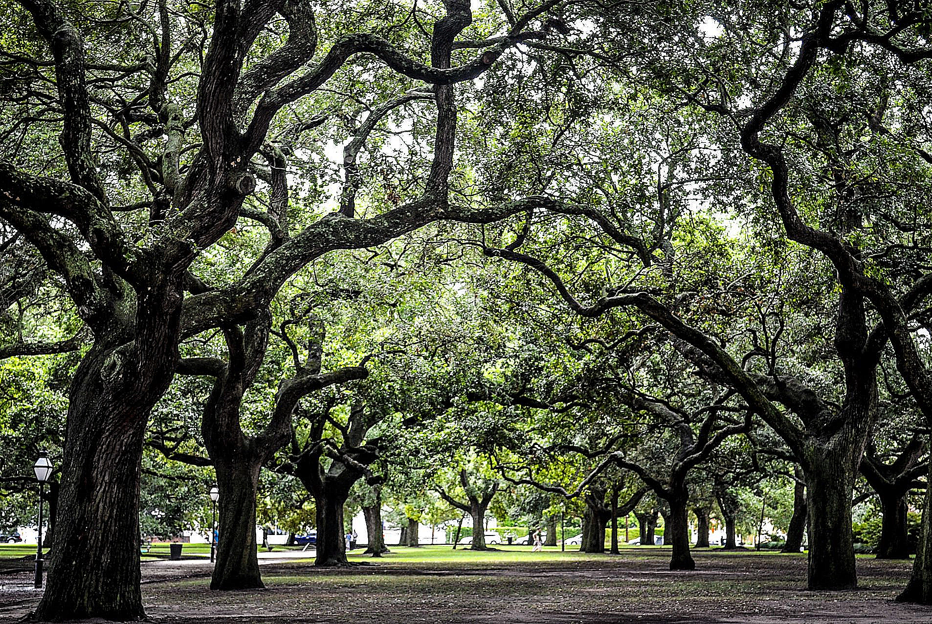 park in south carolina