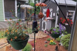 yard of tiny home