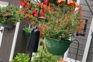 flower pots