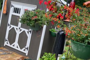 hanging flower pots