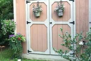 front of shed