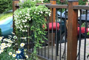 flowers and plants on the deck