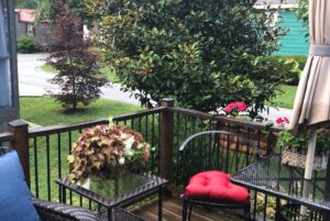 deck picture