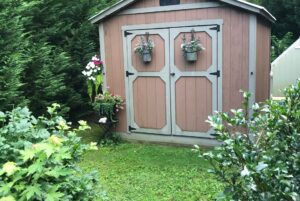 shed in the backyard