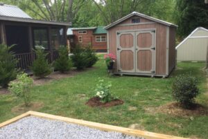 view of the yard and shed