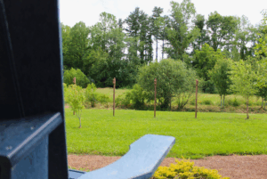 view of the preserve from the clubhouse deck