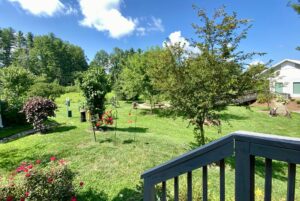 back of tiny home