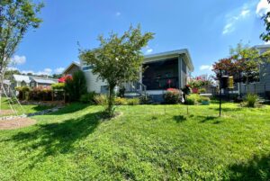 tiny home view