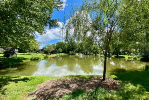 A pond along Just Wandering Lane, surrounded by green trees and grass under a bright blue sky with white clouds.