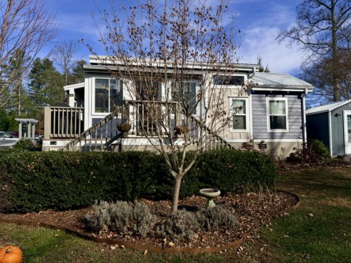 A small gray house with a porch, leafless tree, bushes, and a pumpkin on the lawn in autumn.