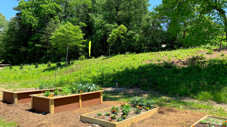 Community Garden