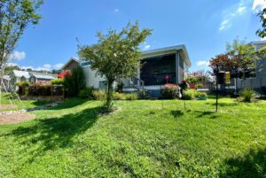 A small house with a porch and garden on Easy Lane, surrounded by green grass, trees, and bright flowers on a sunny day.
