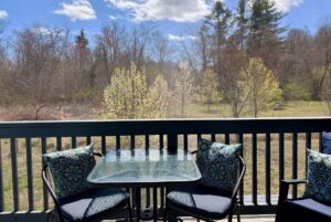 A glass patio table with chairs at 67 Mount Meadow Lane overlooks a sunny yard with blooming trees and a forest beyond.