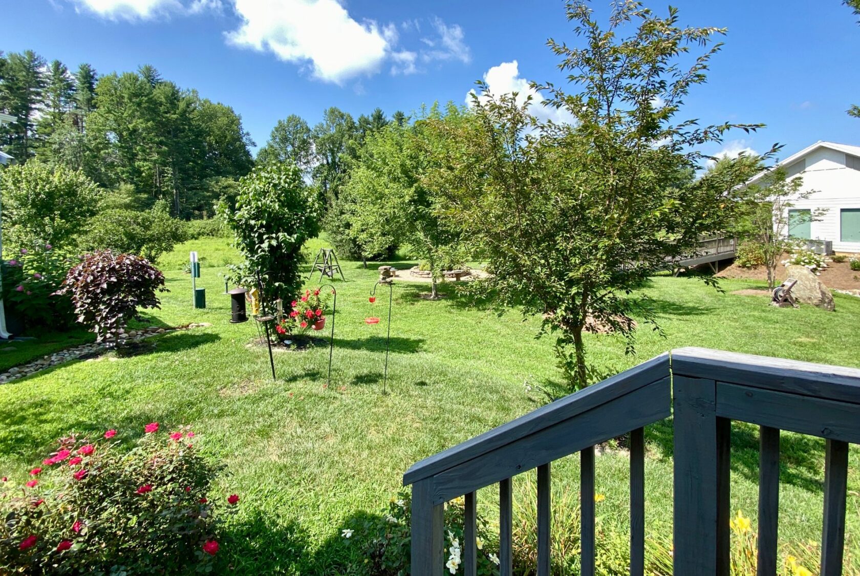 Lush green backyard on Easy Lane with trees, flowers, and a wooden staircase under a bright blue sky with clouds.