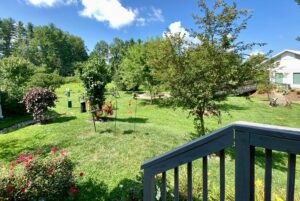 Lush green backyard on Easy Lane with trees, flowers, and a wooden staircase under a bright blue sky with clouds.
