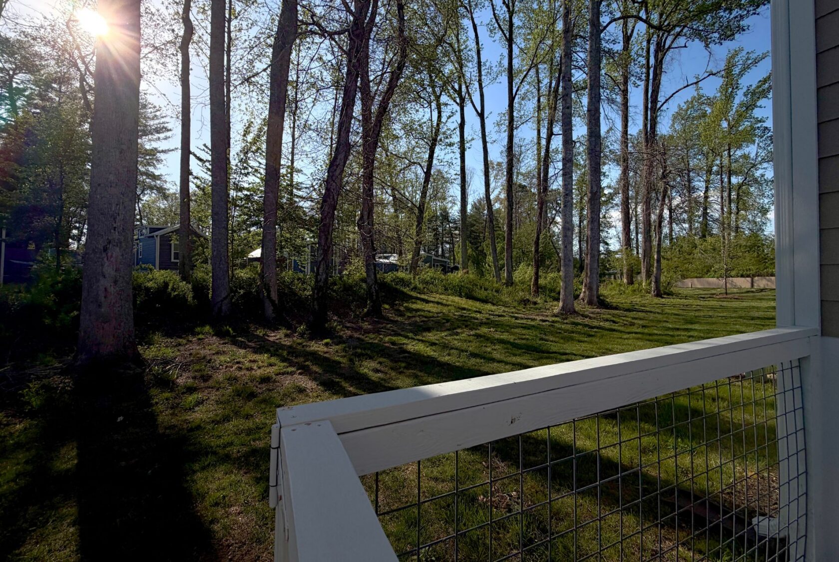 Sunlight filters through tall trees onto a grassy yard at 106 Meandering Lane, viewed from a porch with a white railing.