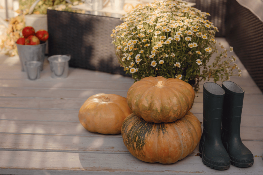 Utilizing autumn motifs like pumpkins, leaves, or apples is a great way to decorate your cottage home porch!