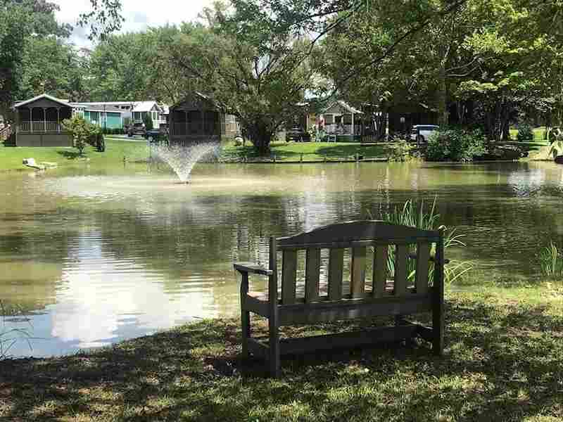 Bench-Upper-Pond-View-small