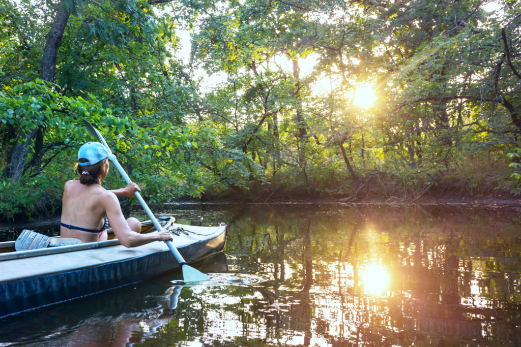 Lakeshore Exploration: A Central Florida Resident's Path to Adventure - Springs