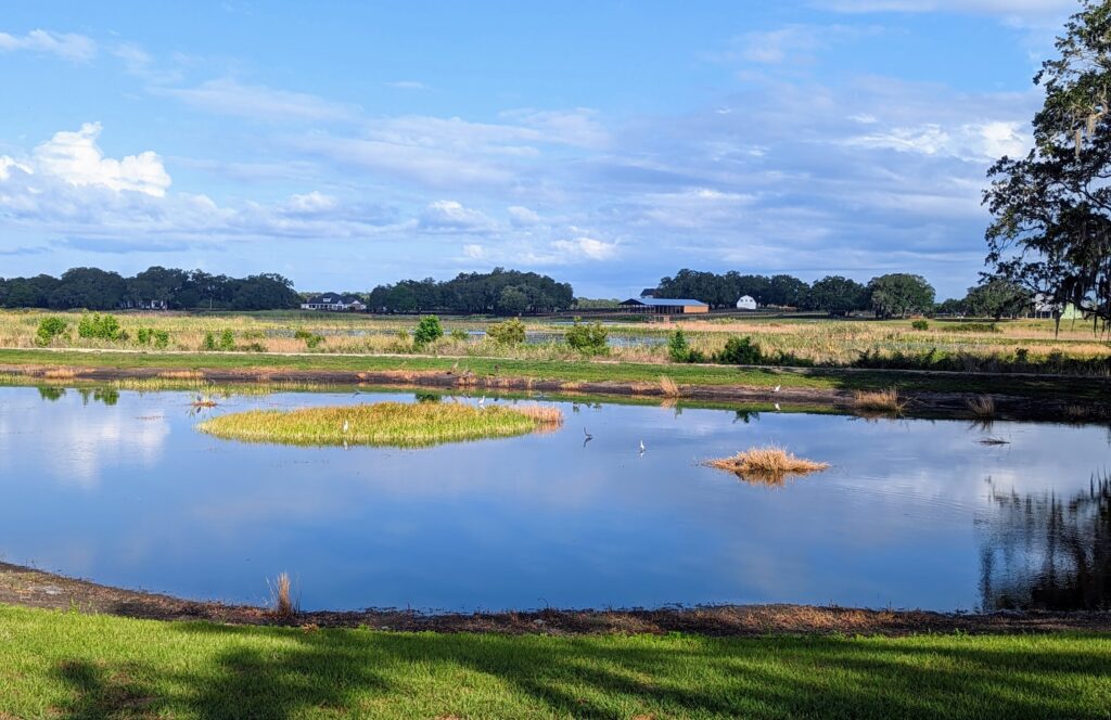 Lakeshore Community: View on the Lake