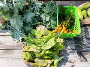 Simple Life Garden Envoy